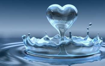 20160106173308_17891