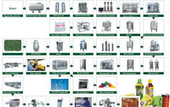 Quy trình trà xanh