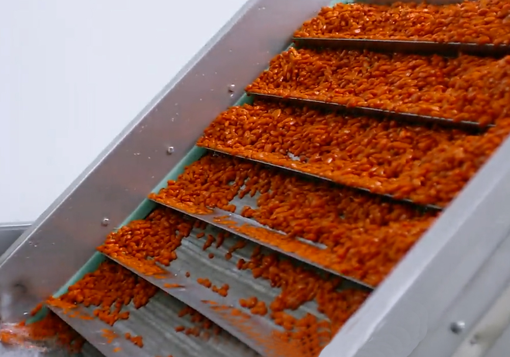 20170908051657_64031